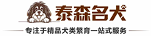 河南泰森名犬